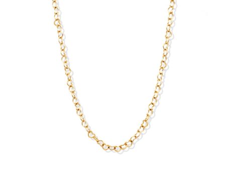 LSF - Gold Heart Chain Necklace Discount